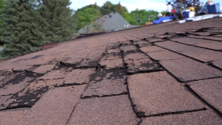 Best Rubber Roofing (EPDM, TPO)  in Mpbell, CA
