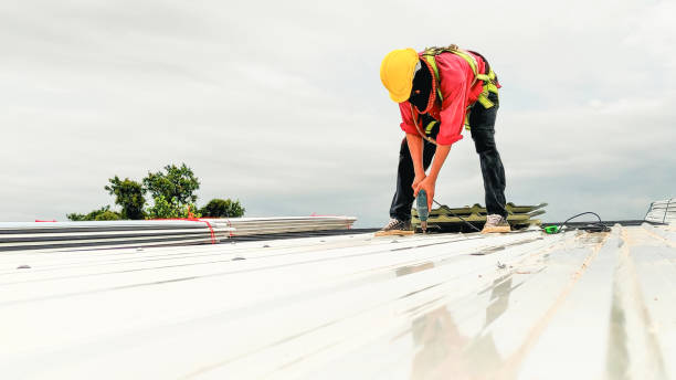 Best Cold Roofs  in Mpbell, CA