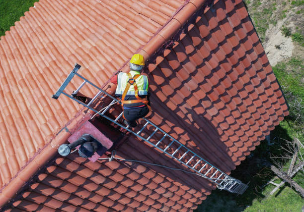 Best Roof Coating and Sealing  in Mpbell, CA