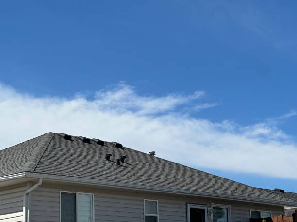 Best Roof Coating and Sealing  in Mpbell, CA